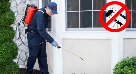 Ovacık Bit İlaçlama böcek ilaçlama ve haşere kontrolü — ilaclama-tr.com